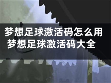 梦想足球激活码怎么用 梦想足球激活码大全