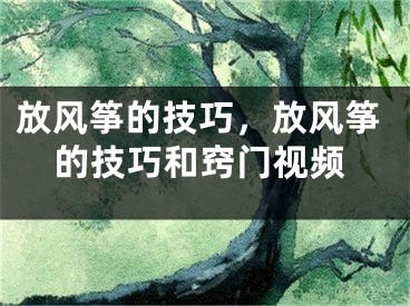 放风筝的技巧，放风筝的技巧和窍门视频