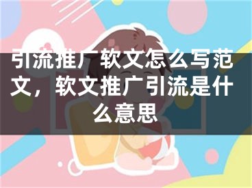 引流推广软文怎么写范文，软文推广引流是什么意思