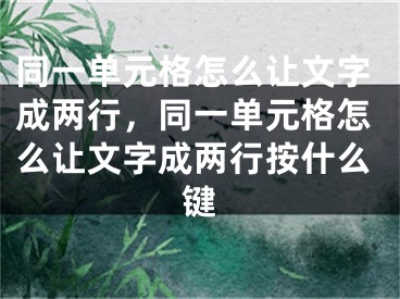 同一单元格怎么让文字成两行，同一单元格怎么让文字成两行按什么键