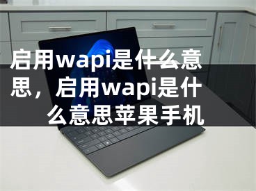 启用wapi是什么意思，启用wapi是什么意思苹果手机
