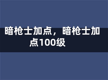 暗枪士加点，暗枪士加点100级