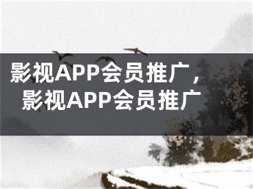 影视APP会员推广，影视APP会员推广 