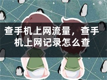 查手机上网流量，查手机上网记录怎么查
