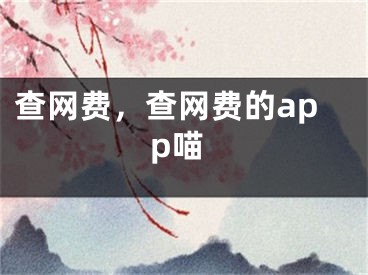 查网费，查网费的app喵