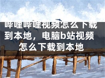 哔哩哔哩视频怎么下载到本地，电脑b站视频怎么下载到本地