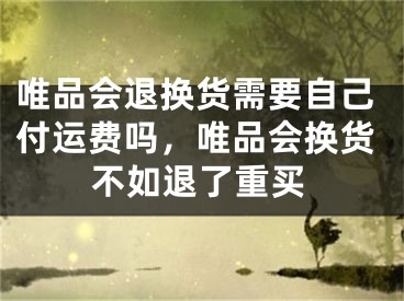 唯品会退换货需要自己付运费吗，唯品会换货不如退了重买