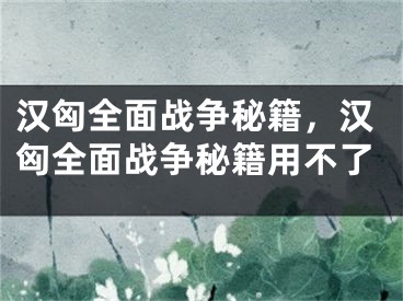 汉匈全面战争秘籍，汉匈全面战争秘籍用不了