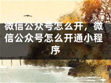 微信公众号怎么开，微信公众号怎么开通小程序