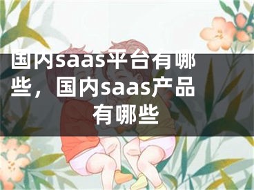 国内saas平台有哪些，国内saas产品有哪些