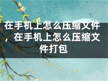 在手机上怎么压缩文件，在手机上怎么压缩文件打包