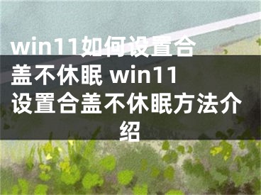 win11如何设置合盖不休眠 win11设置合盖不休眠方法介绍