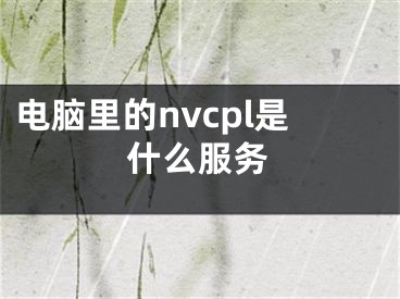 电脑里的nvcpl是什么服务