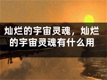 灿烂的宇宙灵魂，灿烂的宇宙灵魂有什么用