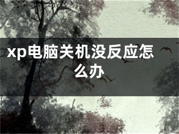 xp电脑关机没反应怎么办