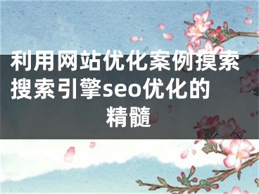 利用网站优化案例摸索搜索引擎seo优化的精髓