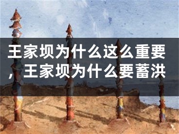 王家坝为什么这么重要，王家坝为什么要蓄洪