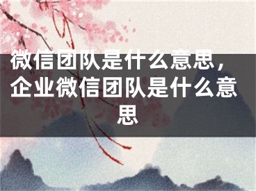 微信团队是什么意思，企业微信团队是什么意思