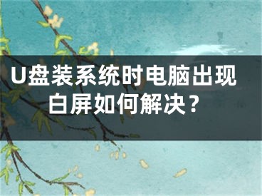 U盘装系统时电脑出现白屏如何解决？