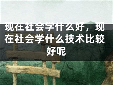 现在社会学什么好，现在社会学什么技术比较好呢