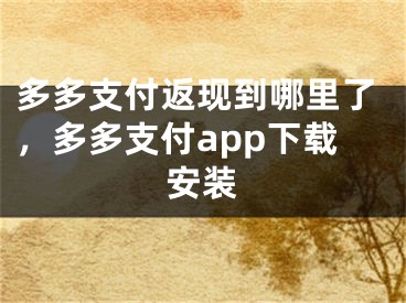 多多支付返现到哪里了，多多支付app下载安装