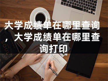 大学成绩单在哪里查询，大学成绩单在哪里查询打印