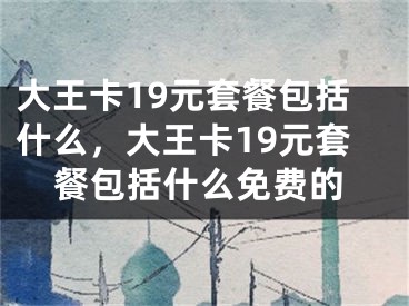 大王卡19元套餐包括什么，大王卡19元套餐包括什么免费的