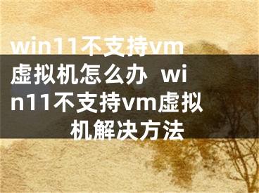 win11不支持vm虚拟机怎么办  win11不支持vm虚拟机解决方法