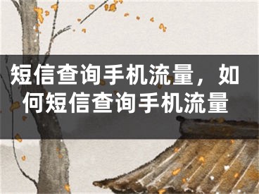 短信查询手机流量，如何短信查询手机流量