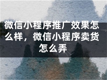 微信小程序推广效果怎么样，微信小程序卖货怎么弄