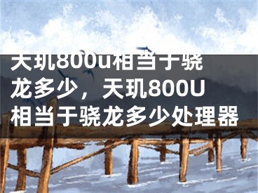 天玑800u相当于骁龙多少，天玑800U相当于骁龙多少处理器