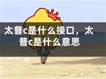 太普c是什么接口，太普c是什么意思