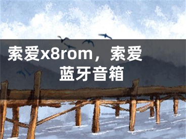 索爱x8rom，索爱蓝牙音箱