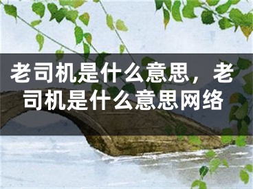 老司机是什么意思，老司机是什么意思网络