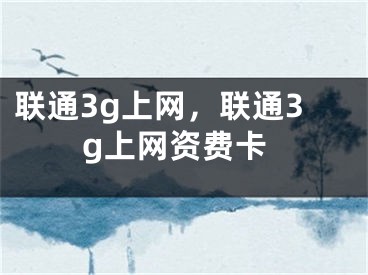 联通3g上网，联通3g上网资费卡