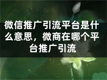 微信推广引流平台是什么意思，微商在哪个平台推广引流