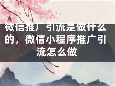 微信推广引流是做什么的，微信小程序推广引流怎么做