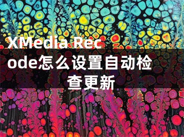 XMedia Recode怎么设置自动检查更新