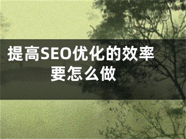 提高SEO优化的效率要怎么做 