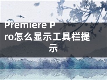 Premiere Pro怎么显示工具栏提示