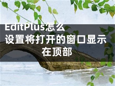 EditPlus怎么设置将打开的窗口显示在顶部