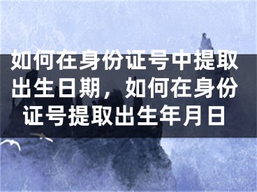 如何在身份证号中提取出生日期，如何在身份证号提取出生年月日