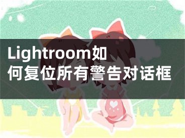 Lightroom如何复位所有警告对话框