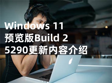 Windows 11预览版Build 25290更新内容介绍