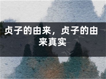 贞子的由来，贞子的由来真实