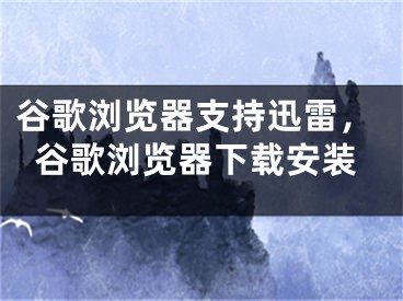 谷歌浏览器支持迅雷，谷歌浏览器下载安装