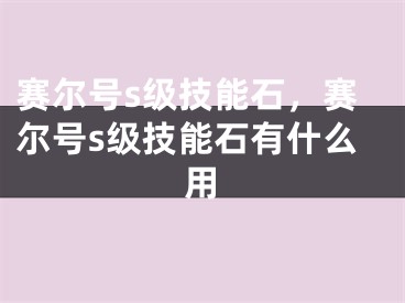 赛尔号s级技能石，赛尔号s级技能石有什么用