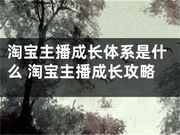 淘宝主播成长体系是什么 淘宝主播成长攻略