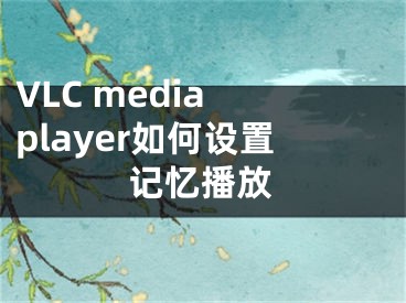 VLC media player如何设置记忆播放