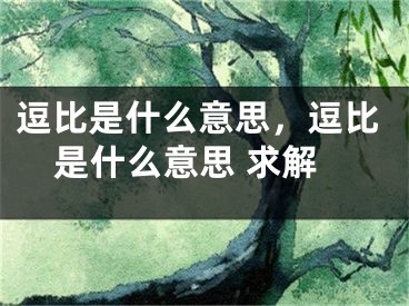 逗比是什么意思，逗比是什么意思 求解